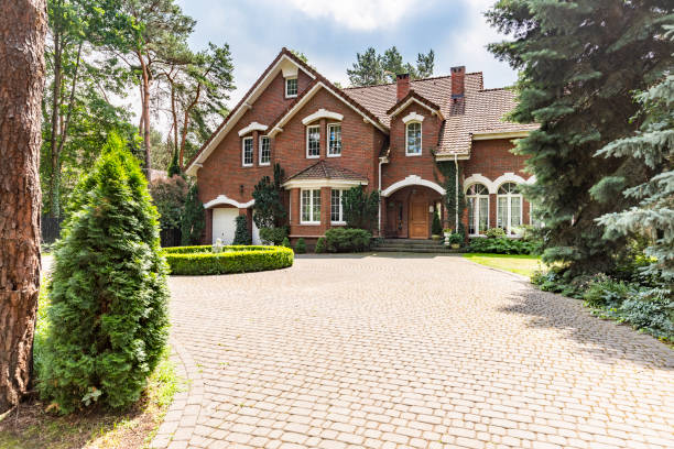 Best Driveway Paving Contractor  in Blue Grass, IA
