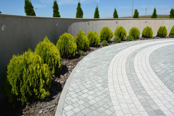 Best Paver Driveway Replacement  in Blue Grass, IA