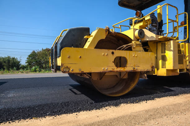 Best Local Driveway Pavers  in Blue Grass, IA